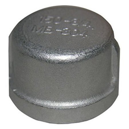 LARSEN SUPPLY CO 34 SS Pipe Cap 32-2959